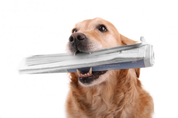 Уральский музей пригласил Илона Маска протестировать электромобиль