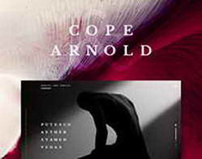 Выпуск музыкального проигрывателя Fooyin 0.8